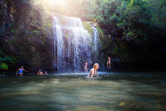 Private Ohana Kohala Waterfalls Adventure - Meeting and Participation Details