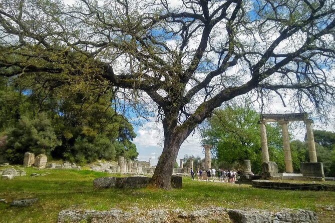 Private Olympia Skip-The-Line Tour With a Local Tour Guide - Personalized Tour Experiences