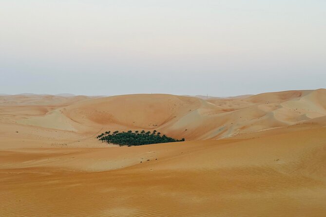 Private Overnight Camping in Liwa With BBQ Dinner & Breakfast - Essential Information