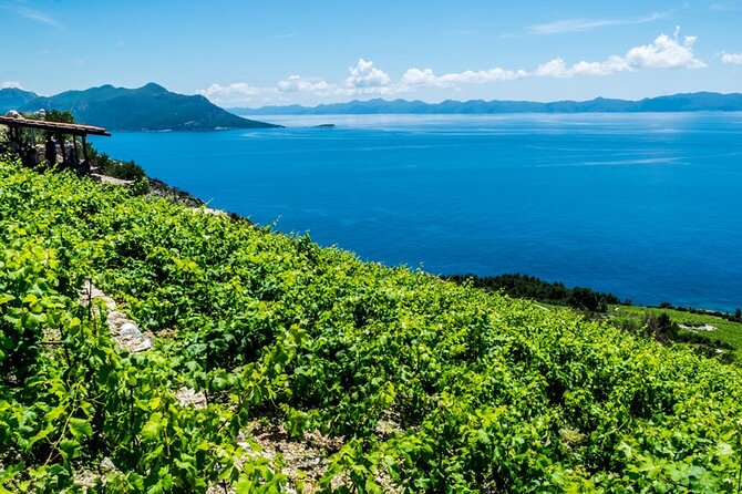 Private Oyster & Wine Tasting in Croatia - Pickup and Transportation