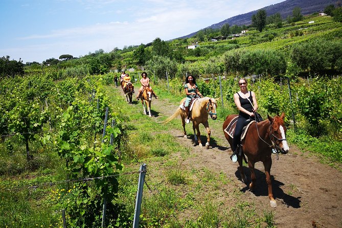 Private Pompeii, Horse Riding & Wine Tour W/ Pick up Included - Exploring Ancient Pompeii