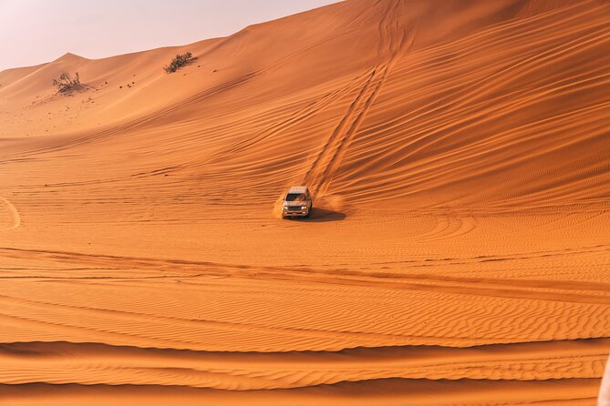Private Premium Dubai Evening Dune Bashing With Live BBQ - Delectable Live BBQ Dinner