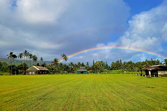 Private Road to Hana or Any Maui Destination in Luxury Mercedes Sprinter - Things To Known