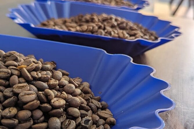 Private Roasting and Cupping Coffee Experience - Group Size and Exclusivity