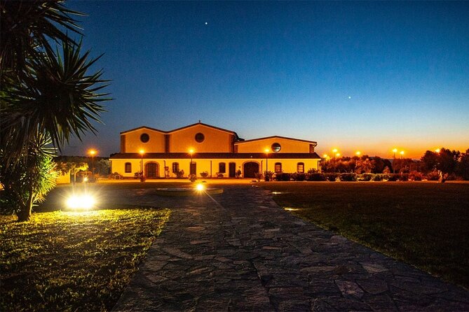 Private Sardinian Wine Experience - Savoring Sardinian Culinary Delights