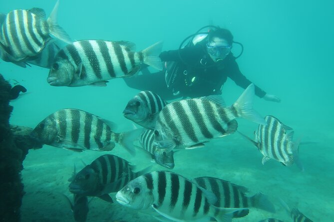 Private Scuba Diving Expert-Led Excursion Training With Tour - Inclusions of the Tour