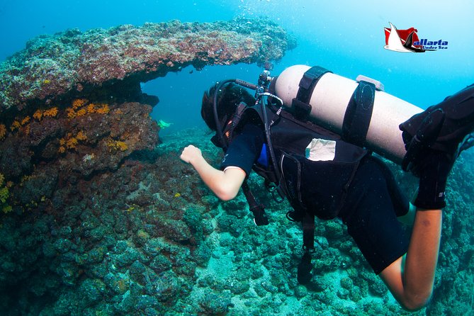 Private Scuba Diving Puerto Vallarta Undersea - Experience Highlights