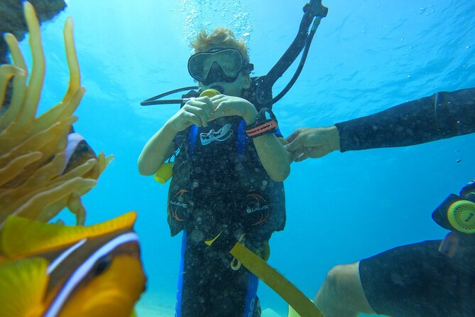 Private Scuba Diving Tour With Transportation and Guide - Additional Important Information