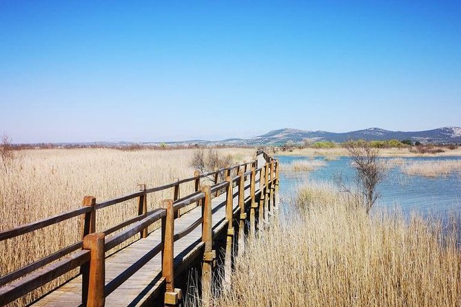 PRIVATE -Secrets of Dalmatian Karst & Wine Experience - Tasting the Flavors of Local Vintages