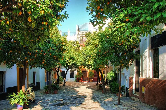 Private Sevilla Tour Review: Family-Friendly Adventure - Review Highlights