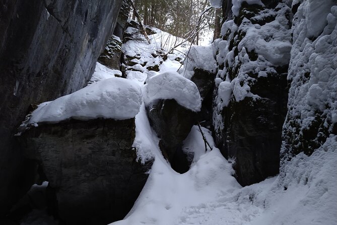 Private Singhampton Caves Snowshoe, Collingwood/Blue Mountain - Health and Accessibility