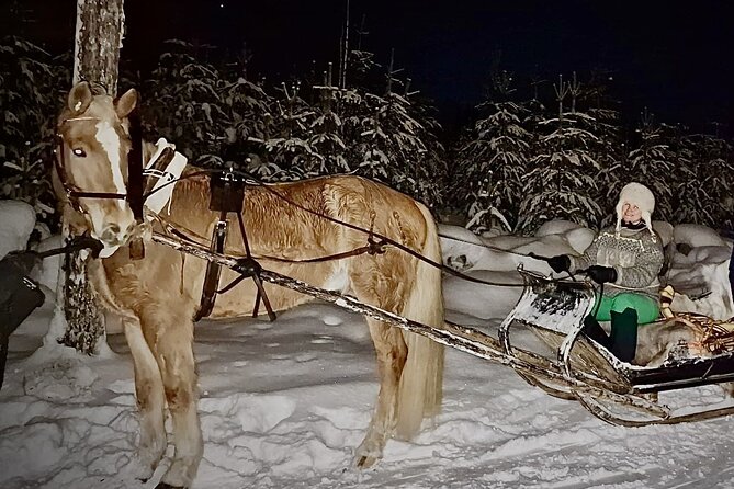 Private Sleigh Ride With Finnhorse Review - Snacks and Treats in Santa Claus Village