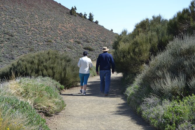 Private Small Group Tour to Teide National Park - Environmental Contribution