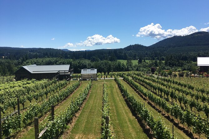 Private Small Group Transportation Cowichan Valley Wineries - Pricing and Inclusions