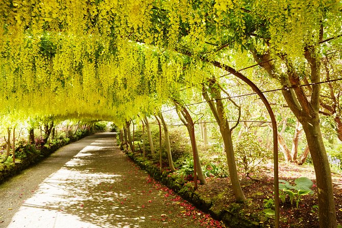 Private Snowdonia, Bodnant Gardens & Castles Tour - Accessibility and Participation