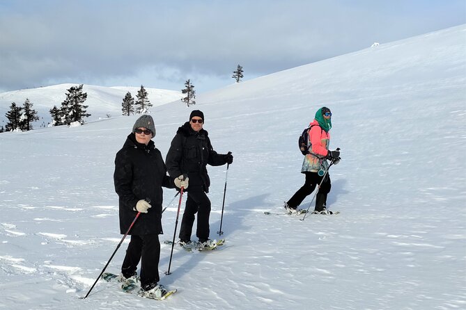 Private Snowshoeing in Levi - Customer Support