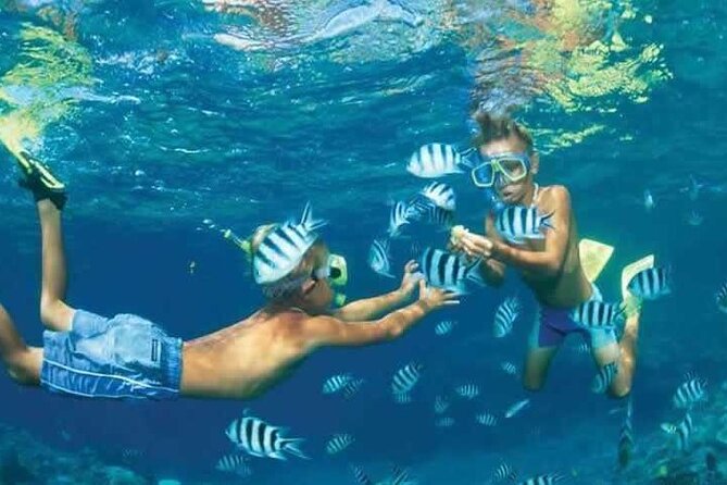 Private Speed Boat Snorkeling With Dolphins Trip - Hurghada - Booking and Confirmation Process