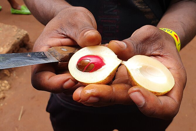 Private Spice Tour in Zanzibar With Pick up - Unique Activities and Experiences