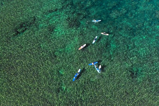 Private Surf Lesson for 3-5 People in North Shore Oahu - Included Gear and Accessories