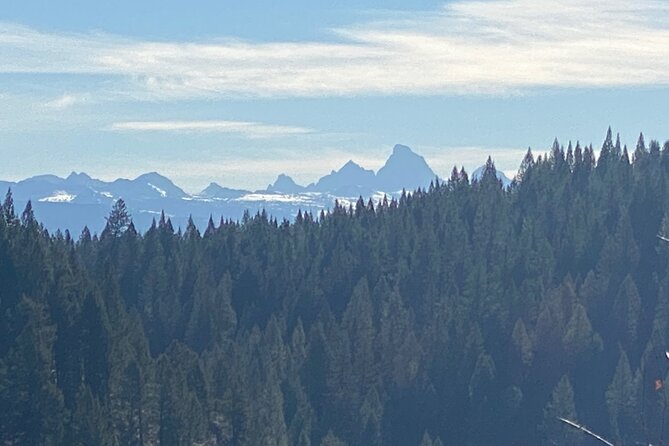 Private Targhee NF, Palisades, Snake River, Swan Valley, and Mormon Row Tour - Inclusions and Amenities