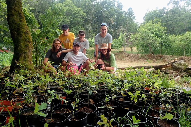 Private & Taylor Made Experience in Gerês National Park - Tour Schedule and Availability