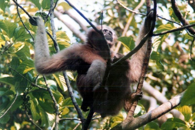 Private Tour: 5 Days - Bangladesh Nature & Culture Tour - North-Eastern Part - Meals Included
