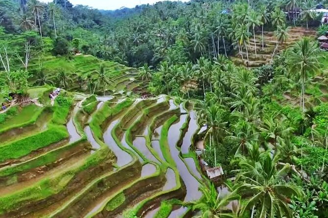 Private Tour: Amazing 3 Days Bali Sightseeing Tour Package With Airport Transfer - Itinerary Overview