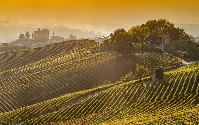 Private Tour: Barolo Wine Tasting in Langhe Area From Torino - Available Languages and Group Size