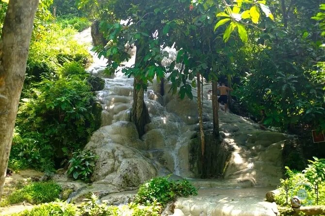 Private Tour: Bua Thong Sticky Waterfalls Tour - Exclusions to Consider