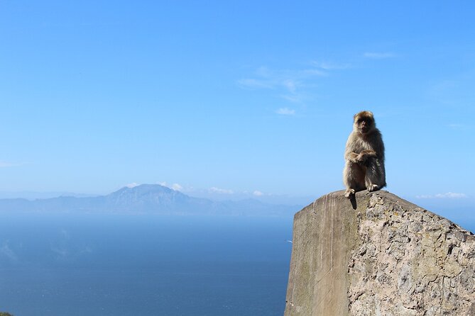 Private Tour: Day Through Gibraltar and Morocco, Tangier From Seville - Reviews