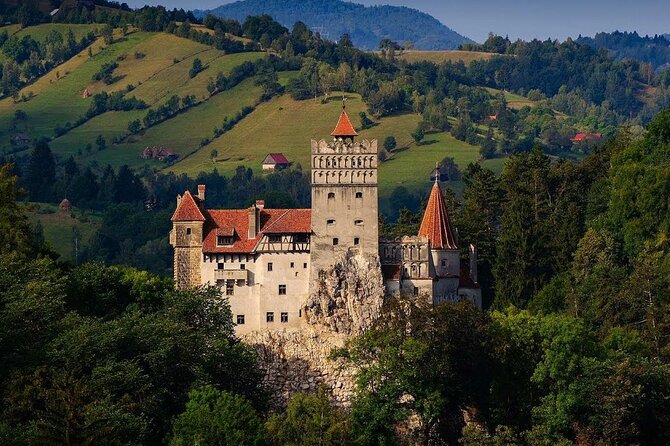 Private Tour in Bran Castle, Peles Castle, and Brasov - Accessibility and Participant Information