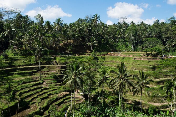 Private Tour: Incredible 6 Days Bali Tour Package With Airport Transfer - Exclusions to Consider