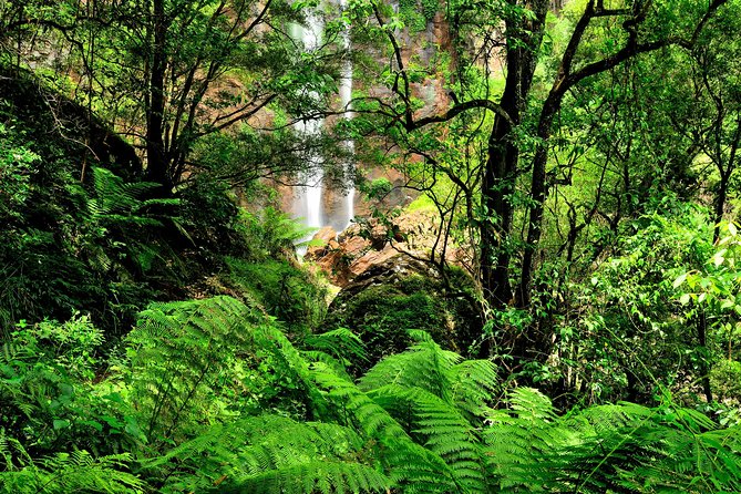 Private Tour - Juan Curí Waterfalls (Nature) - Ratings and Reviews