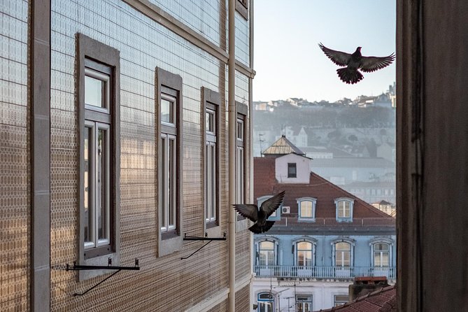 Private Tour - Lisbon Walking Tour With a Photographer - Tour Accessibility and Accommodations