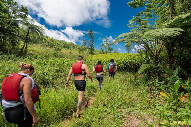 Private Tour of El Yunque Rainforest From San Juan - Health and Safety Restrictions