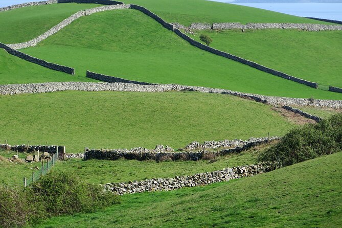 Private Tour of Newgrange and The Hill of Tara - Knowledgeable Guides and Personalized Service