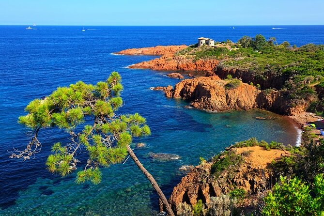 Private Tour of the French Riviera - Reviews Summary