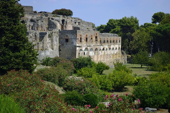 Private Tour: Pompeii Half-Day Trip From Naples - Preparing for the Tour