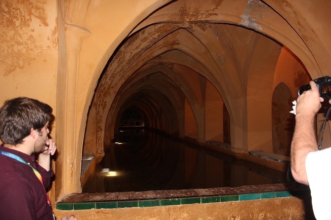 Private Tour: Seville Day Trip From Granada - Accessibility Features