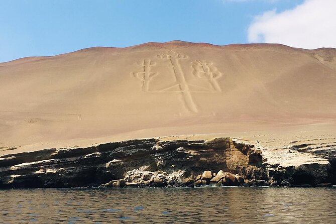 Private Tour to Ballestas Islands, Ica and Huacachina Including Sandboarding - Health Considerations