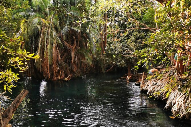 Private Tour to Materuni Waterfalls, Coffee Tour & Kikuletwa Hot- Springs - Experiencing Rural Tanzanian Life