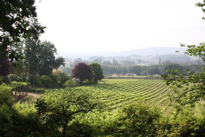 Private Tour to Ponte De Lima, Vinho Verde Region - Tour Highlights