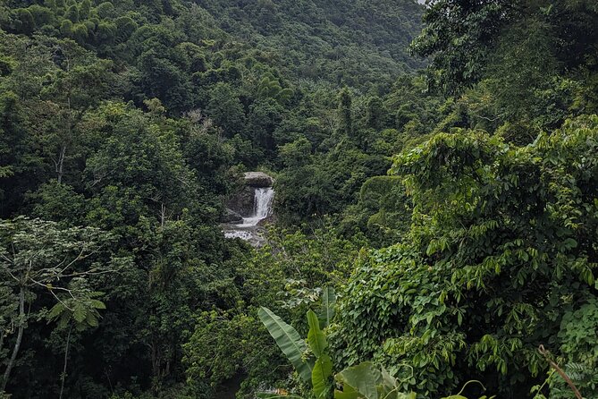 Private Tour to Pristine Swimming Hole In Puerto Rico Jungle - Schedule and Accessibility