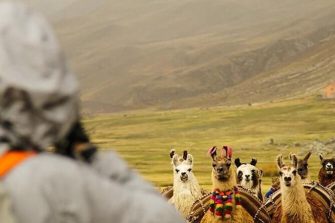 Private Tour to Rainbow Mountain With ATV - Tour Requirements and Restrictions
