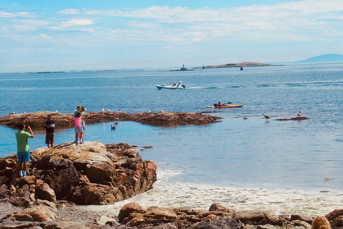 Private Tour - Victoria Drive and Explore - 4 Hours - Accessibility and Participation
