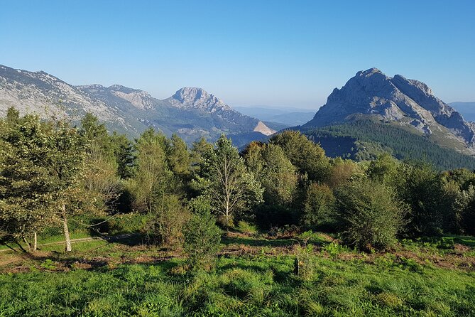 Private Tour Visiting Villages, Forests and Valleys in Biscay - Accessibility and Convenience
