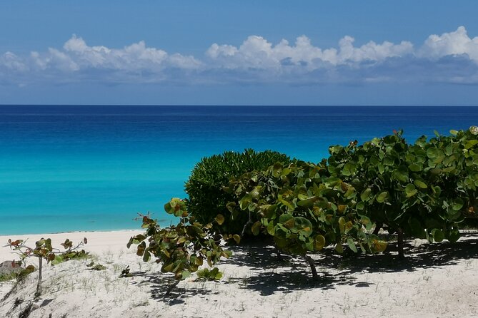 Private Transfer-Cancun Airport-Playa Del Carmen One Way - Pickup and Drop-off Locations