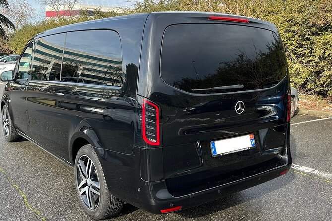 Private Transfer From or to Toulouse Airport - Accessibility Features