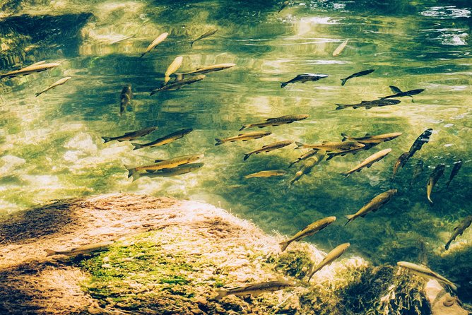 Private Transfer From Zadar to Zagreb via Plitvice Lakes Guided Tour - Additional Tour Information
