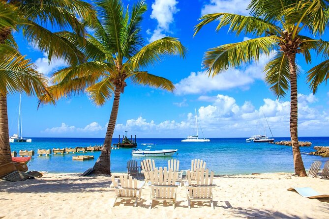 Private Transfer: Punta Cana Airport PUJ to Punta Cana or Bavaro in Van - Availability and Accessibility